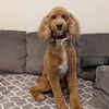 Photo 2: Roxy