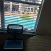 Photo 5: Pool view 