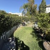 Photo 9: Private front yard w/rose garden :)