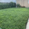 Photo 5: Backyard