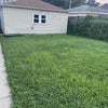 Photo 4: Backyard