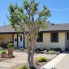 Photo 9: Front View of House 