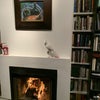 Photo 2: fireplace