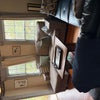 Photo 6: Living room