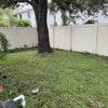 Photo 7: Backyard