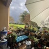 Photo 5: Patio Garden 