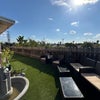 Photo 6: Backyard