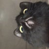 Photograph of Lucy 