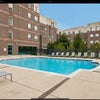 Photo 9: Pool