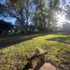 Photo 7: Back Yard