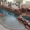 Photo 8: Pool and spa