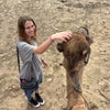 Photo 3: I don't have a pet camel I promise