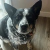 Photo 3: Hugo