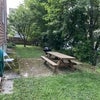 Photo 9: Yard