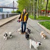 Photo 2: On the East River Promenade
