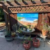 Photo 4: Outdoor patio area