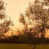 Photo 7: Sunset View 