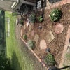 Photo 5: My outdoor garden