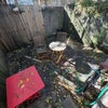 Photo 3: Backyard
