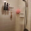 Photo 5: Shower