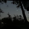 Photograph of M
