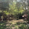 Photo 6: back yard