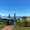 Photo 3: Front yard