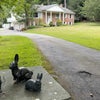 Photo 6: front yard