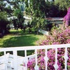 Photo 2: Back Yard View
