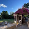 Photo 7: Back yard