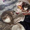 Photo 8: My two cats Fabio and Shwifty who are very friendly