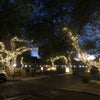 Photo 5: Such a pretty place to live!