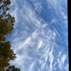 Photo 4: View From the Deck Hammock