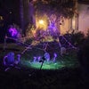 Photo 11: Halloween decorations 