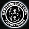 Photograph of BANG BANG BULLY 