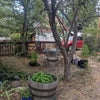 Photo 7: Little patio/driveway