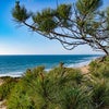 Photo 8: Torrey Pines Hiking