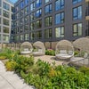 Photo 15: Outdoor garden space
