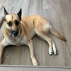 Photograph of Amy