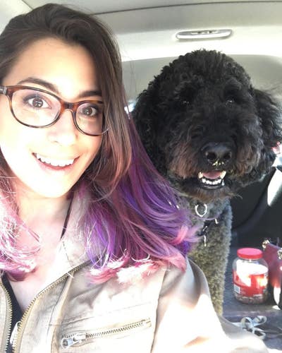 Room wanted in NYC Main Photo