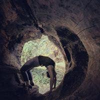 Room wanted in NYC Main Photo