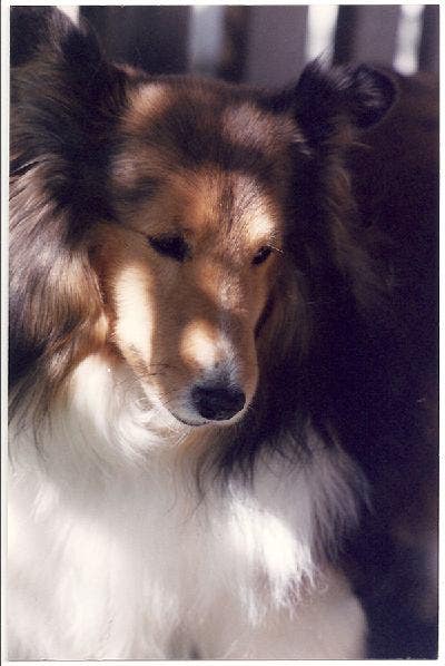 Mature Male Seeking Share or Sublet Main Photo