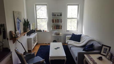 Large Light Filled Room on Park in Greenpoint Main Photo