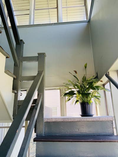 Rooms for Rent Near Berkeley College Nj Main Photo