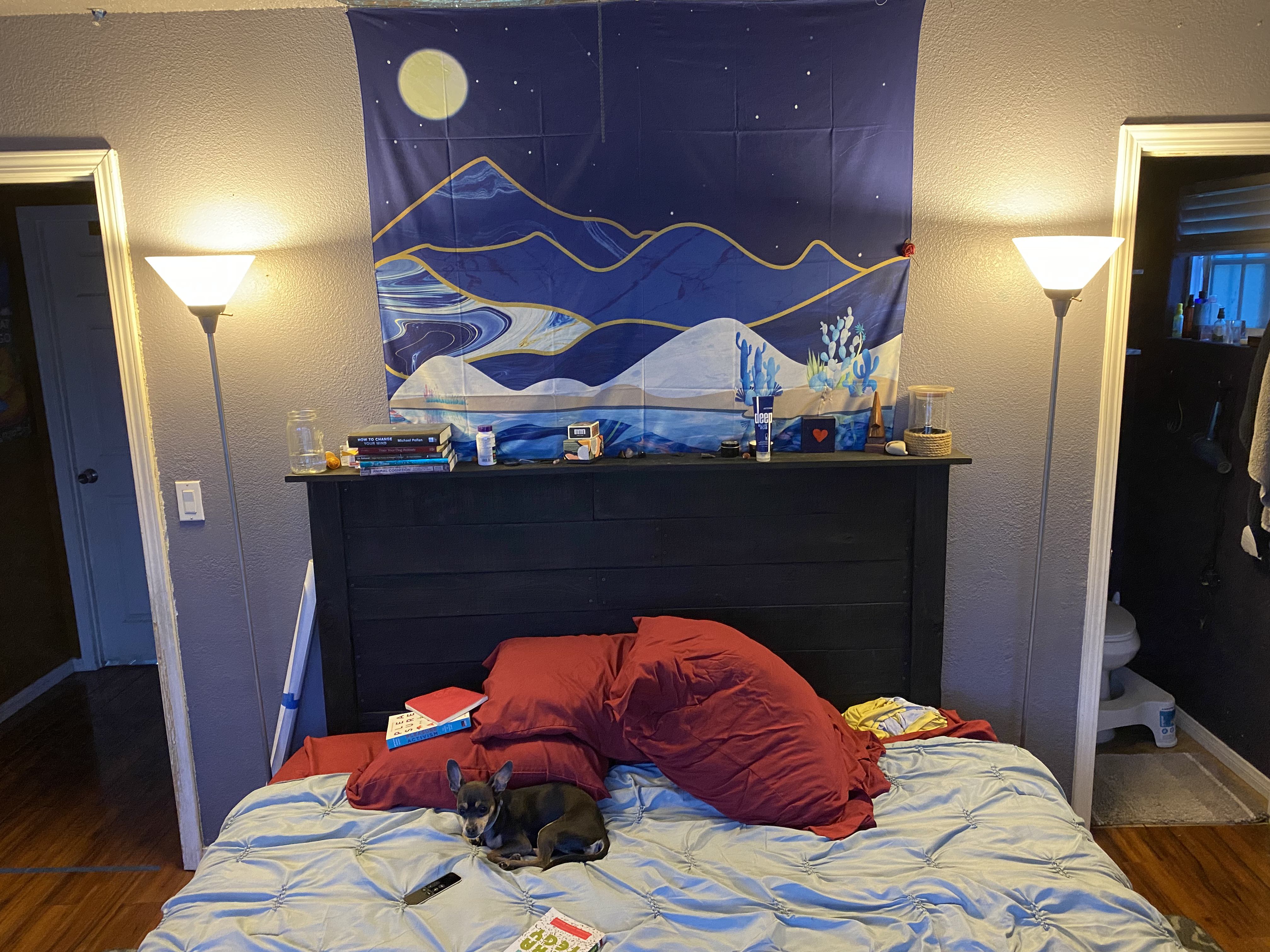 Rooms For Rent In Orange Orange County Spareroom