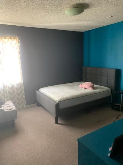 Roomie in Echo Park Main Photo