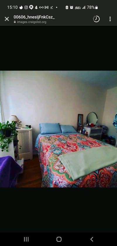 1 large bedroom for rent in a large 2 bdrm apt Main Photo
