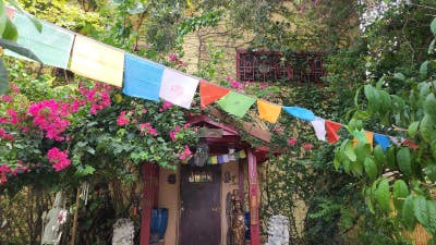 HOUSE OF ZEN Main Photo