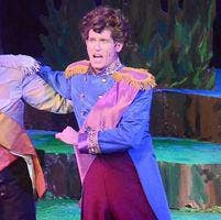 Nice mature man w/ small dog  Main Photo