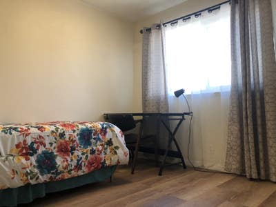 Room for Rent San Jose Main Photo